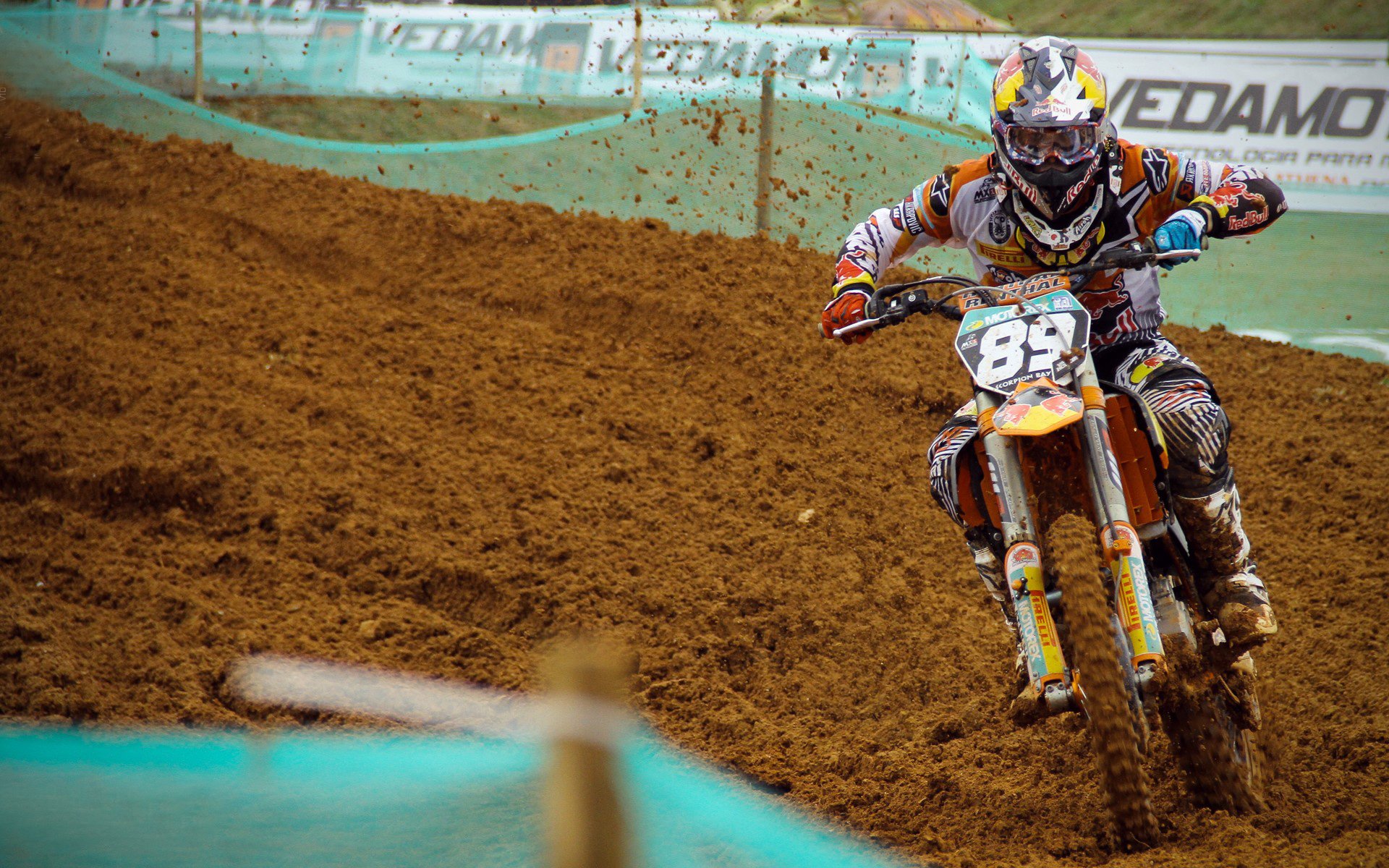 塔图姆重要时刻表现优异，尤文图斯带队取胜！全场沸腾不已